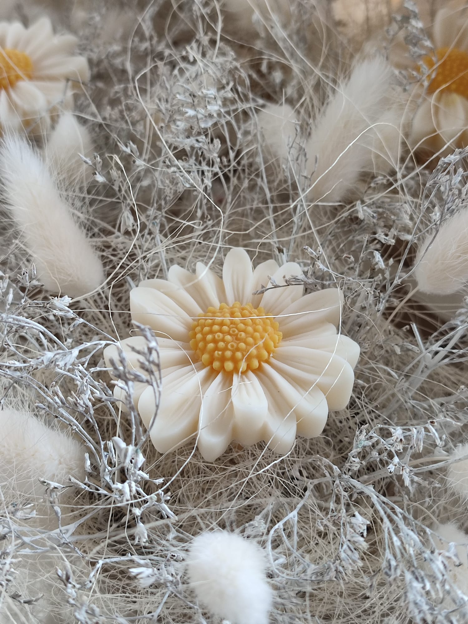 Mini Flower Box – Stokrotka - obrazek 2